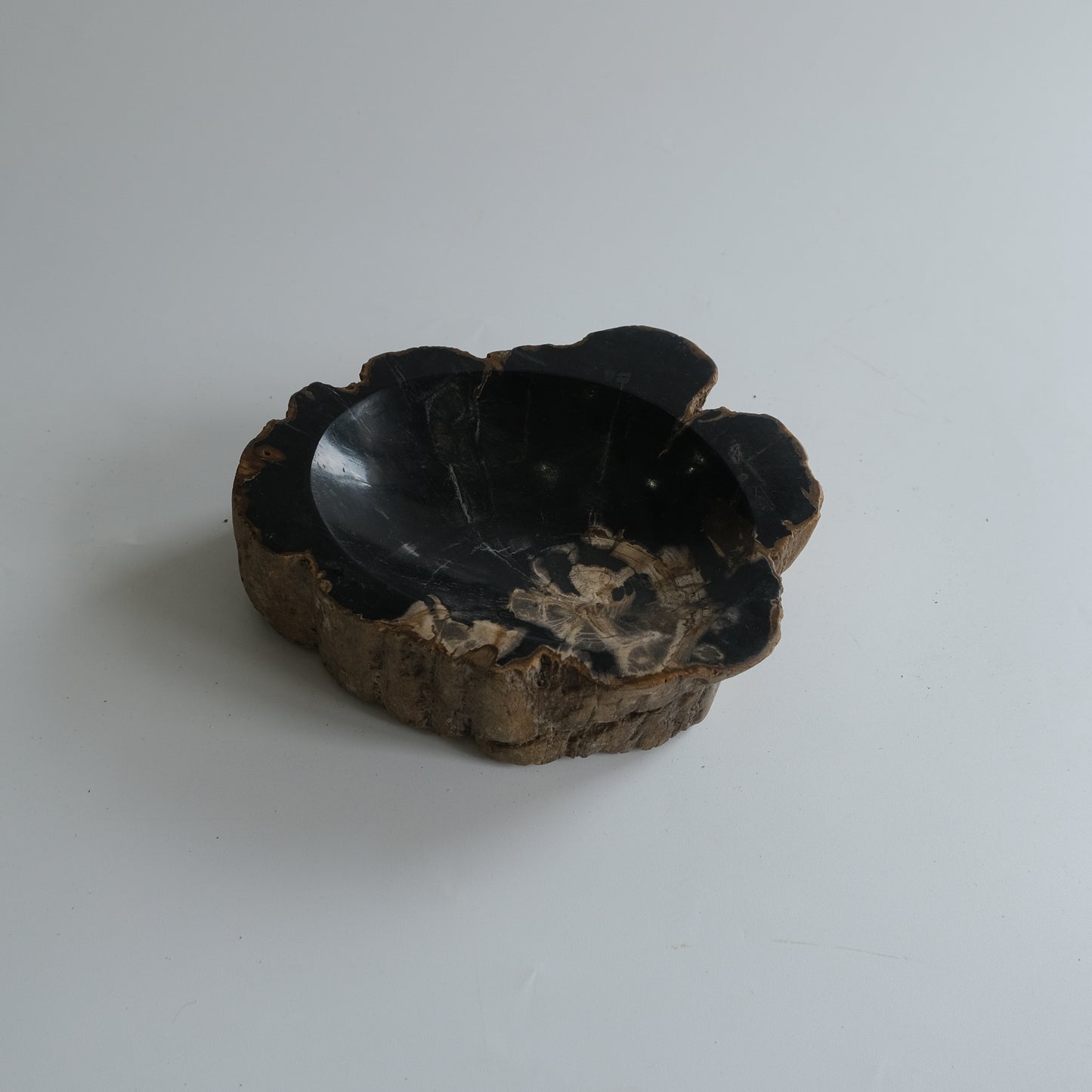 Accessory Tray #021
