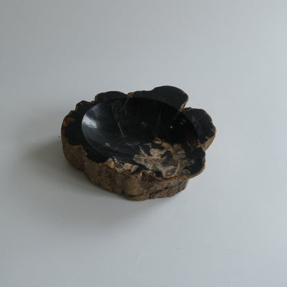 Accessory Tray #021