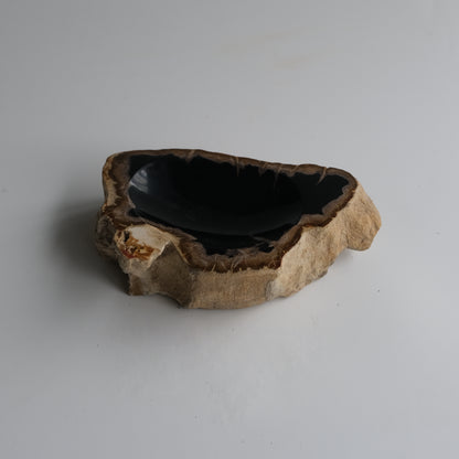 Accessory Tray #013