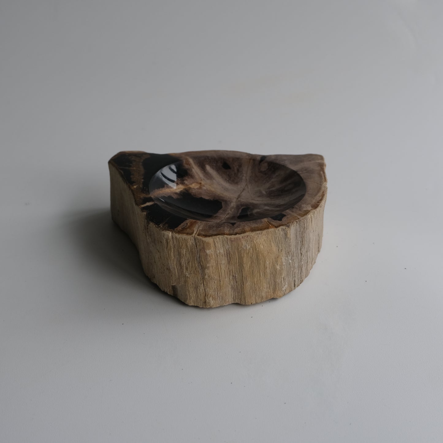 Accessory Tray #008