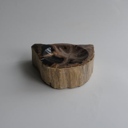 Accessory Tray #008