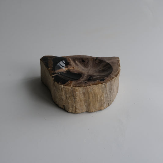 Accessory Tray #008