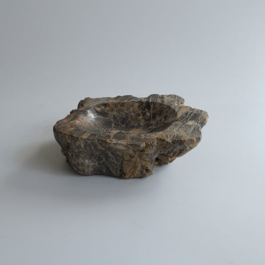 Accessory Tray #004