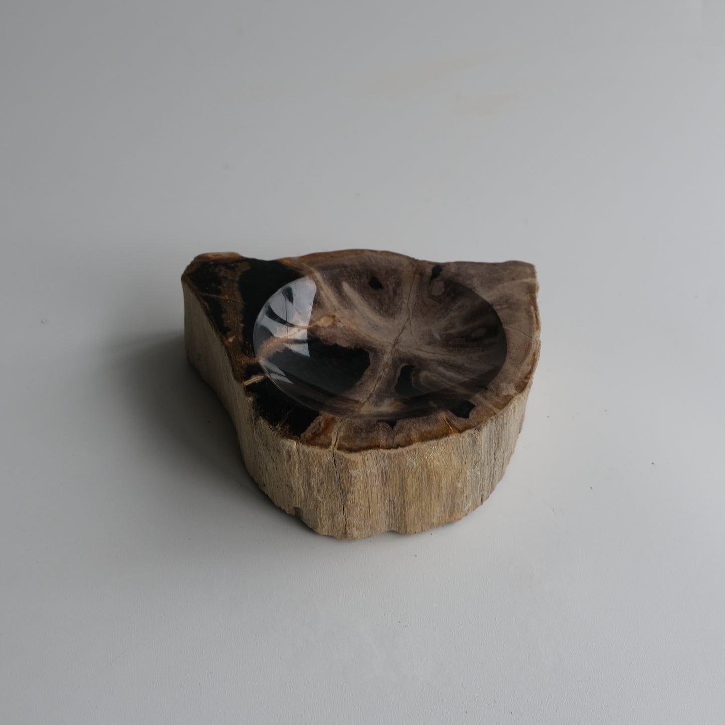 Accessory Tray #008