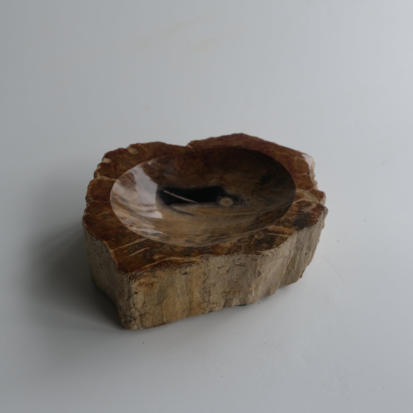 Accessory Tray #044