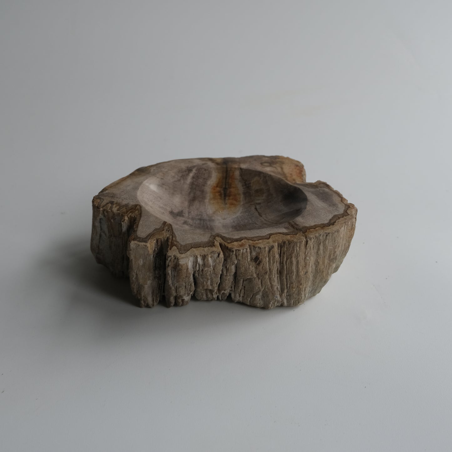 Accessory Tray #024