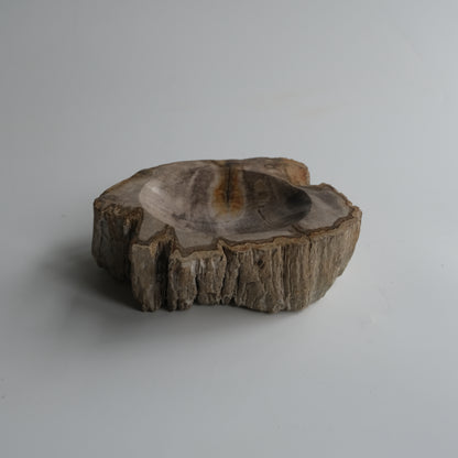 Accessory Tray #024