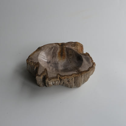 Accessory Tray #024