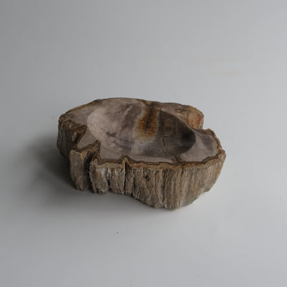 Accessory Tray #024