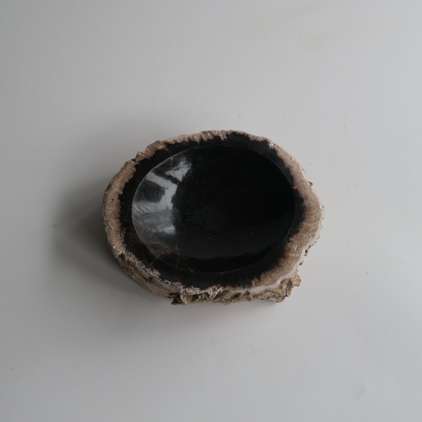 Accessory Tray #009