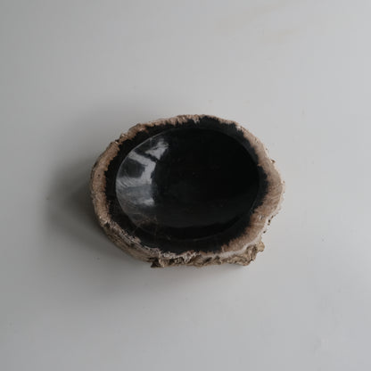 Accessory Tray #009