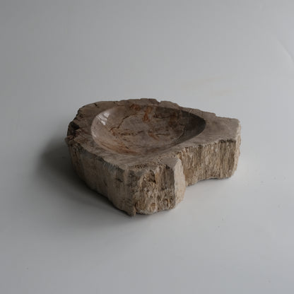 Accessory Tray #048