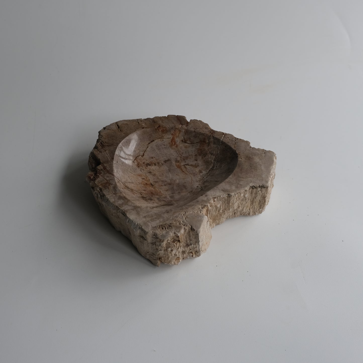 Accessory Tray #048