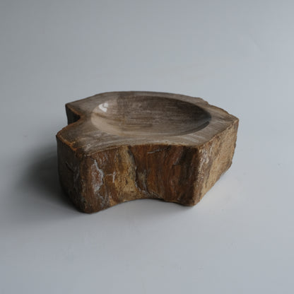 Accessory Tray #034