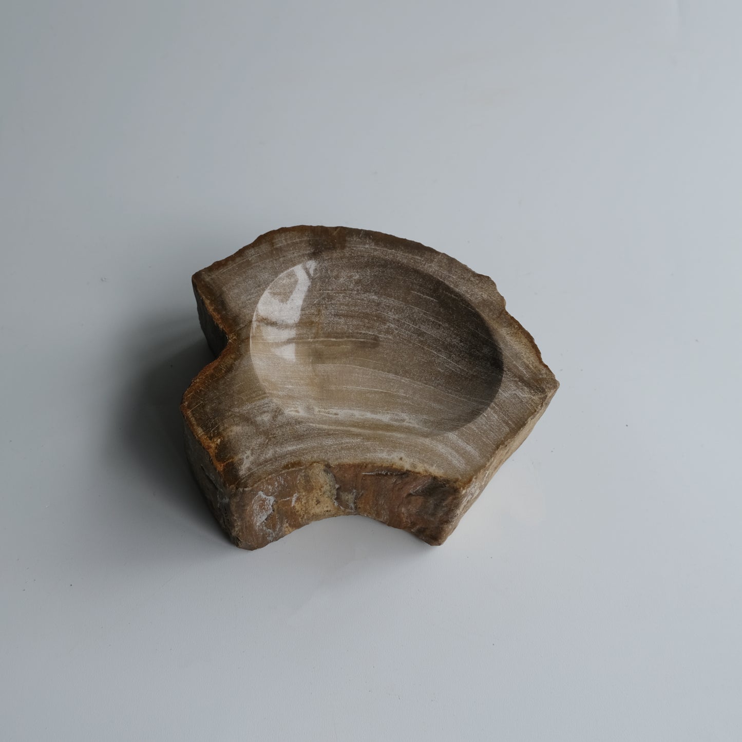 Accessory Tray #034