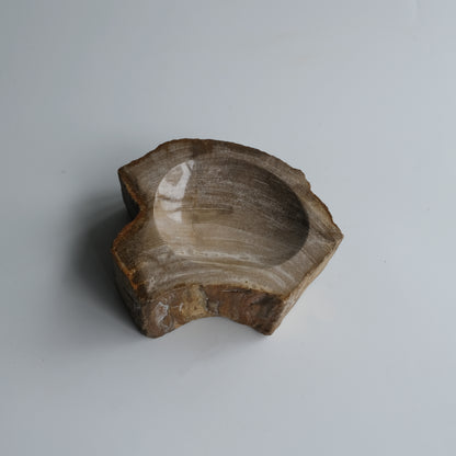 Accessory Tray #034