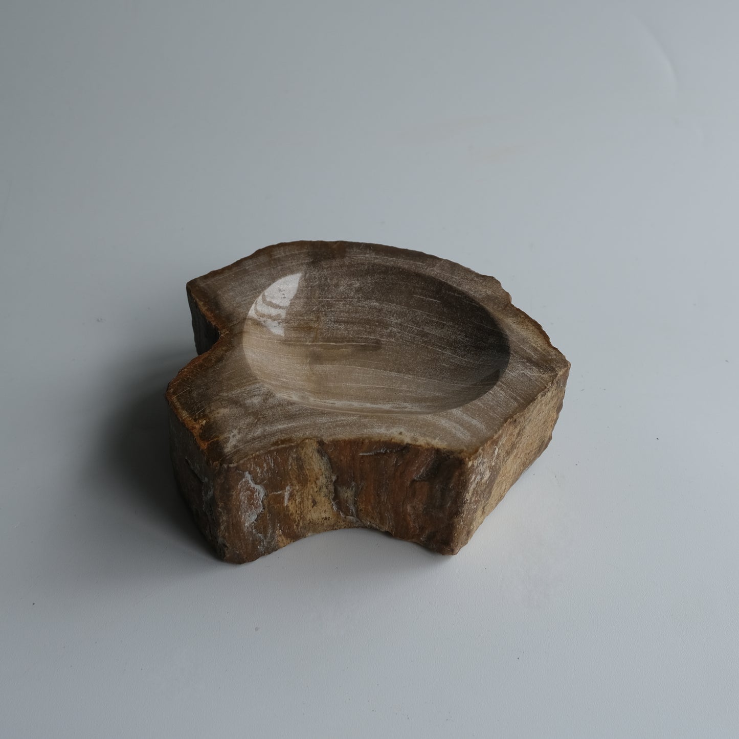 Accessory Tray #034