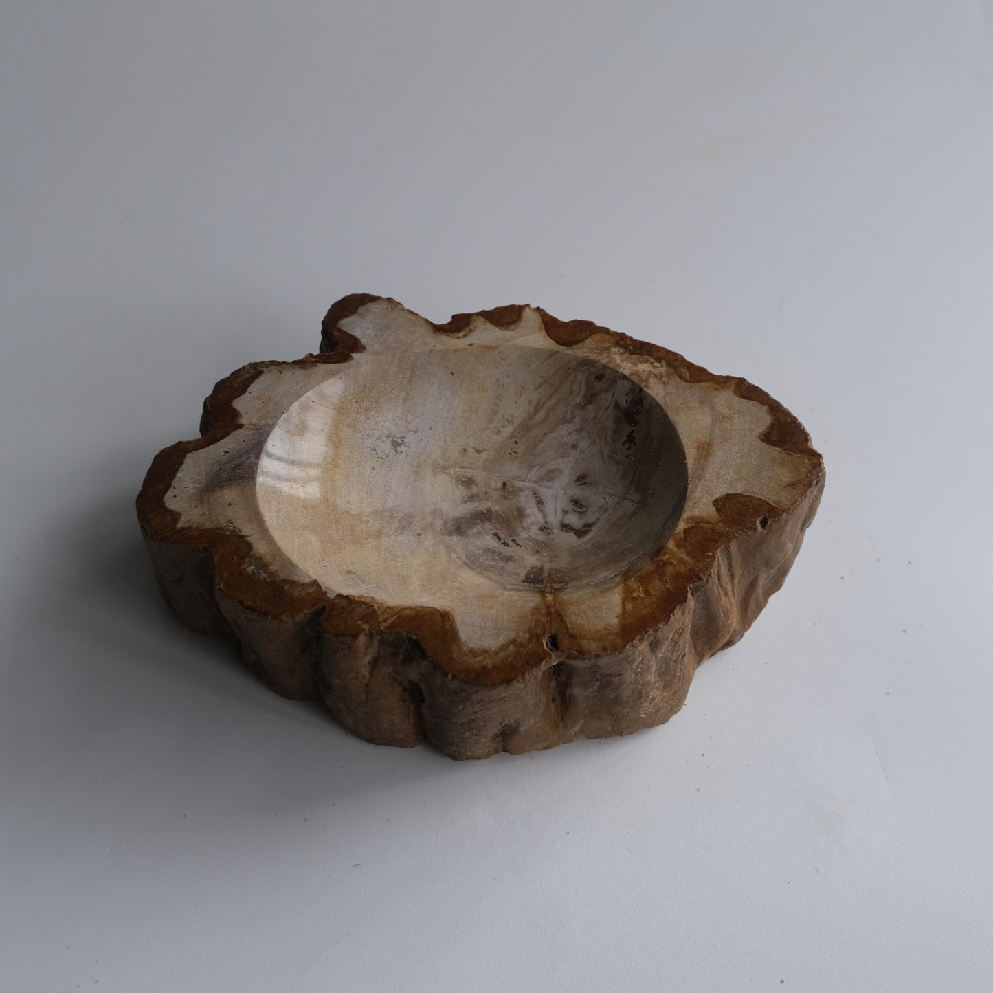 Accessory Tray #002