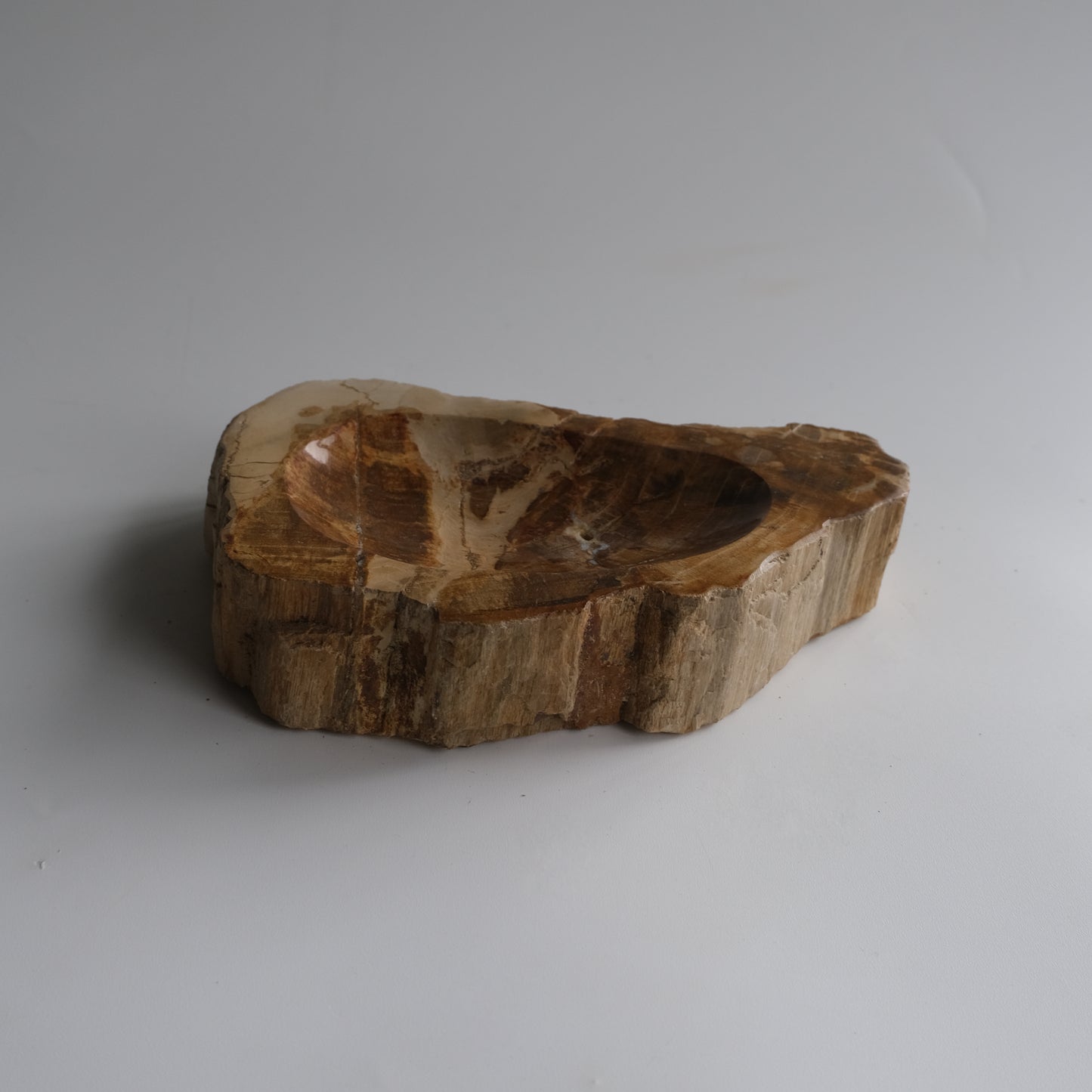 Accessory Tray #015