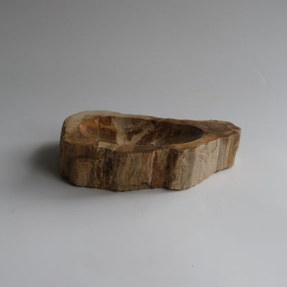 Accessory Tray #015