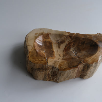 Accessory Tray #015