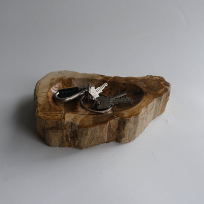 Accessory Tray #015