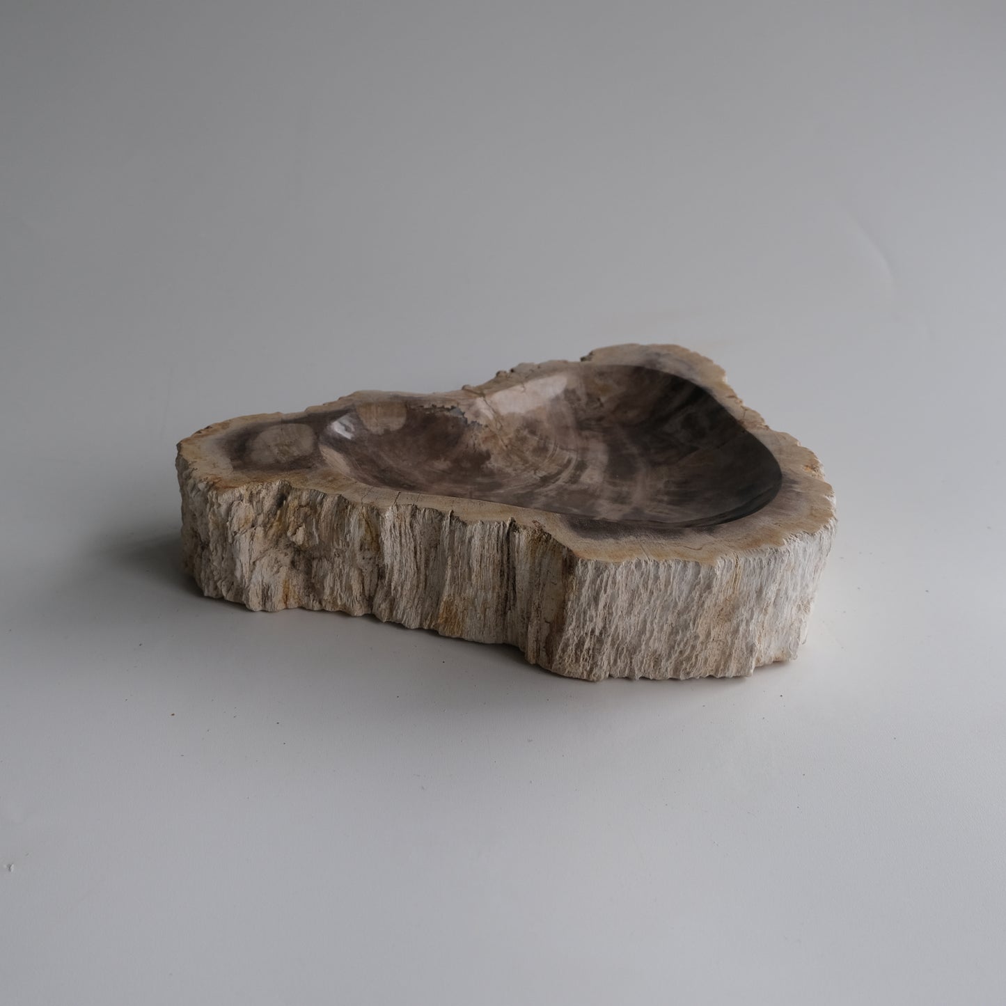 Accessory Tray #014