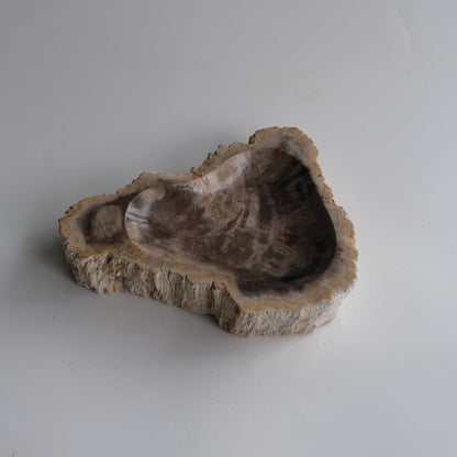 Accessory Tray #014