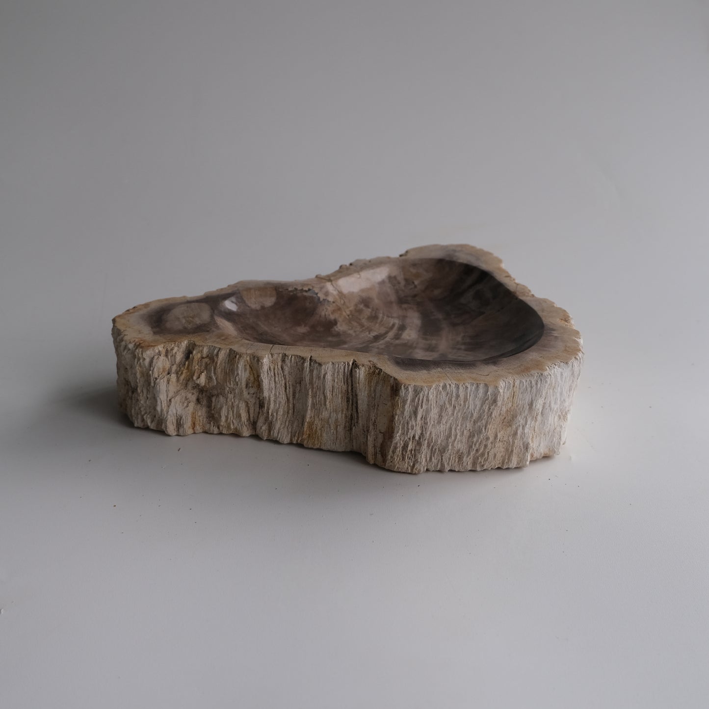 Accessory Tray #014