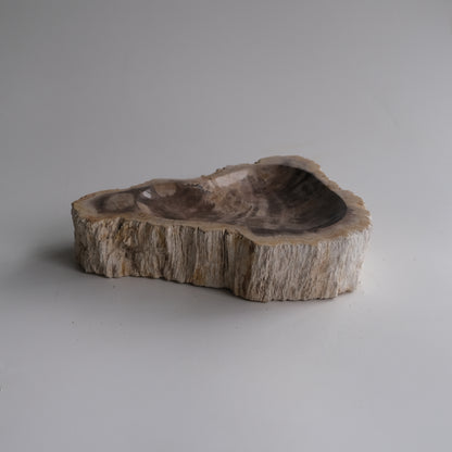 Accessory Tray #014