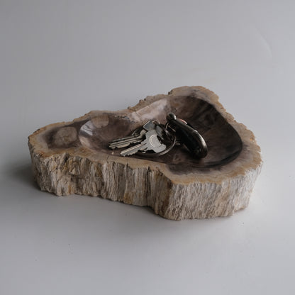 Accessory Tray #014