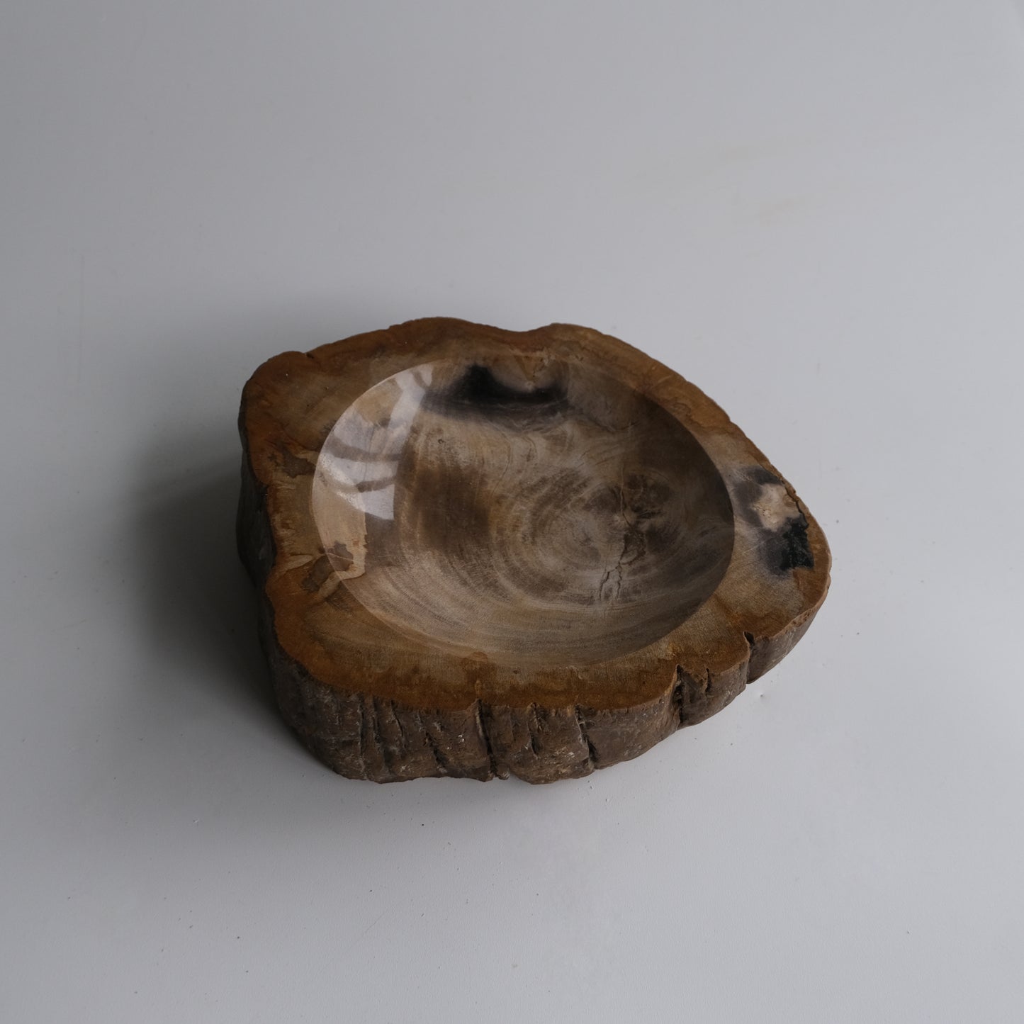 Accessory Tray #040