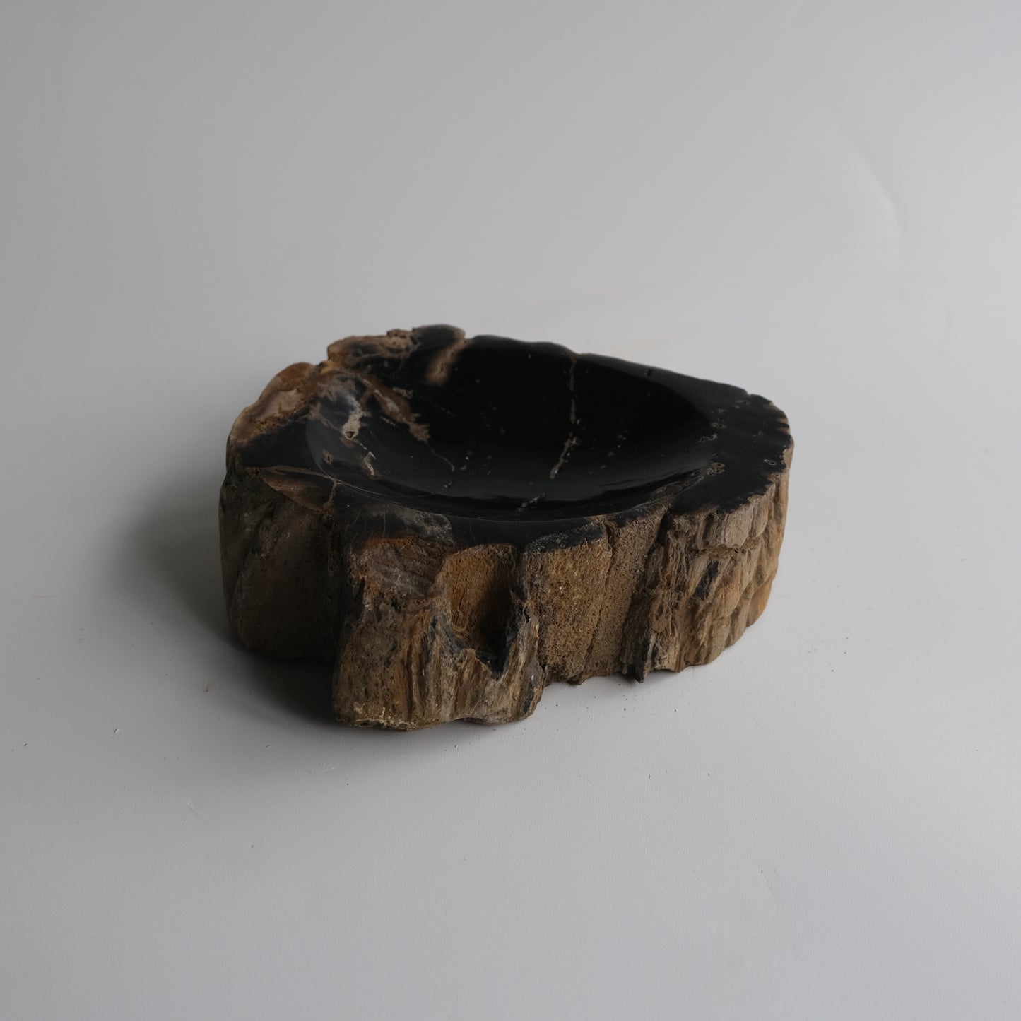 Accessory Tray #050