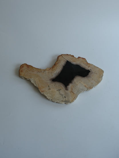 Wood Plate #032