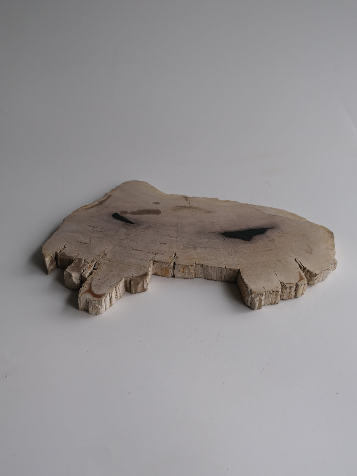 Wood Plate #001