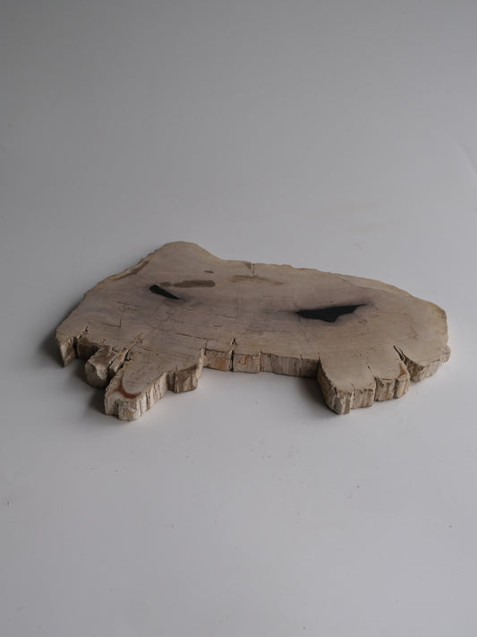 Wood Plate #001