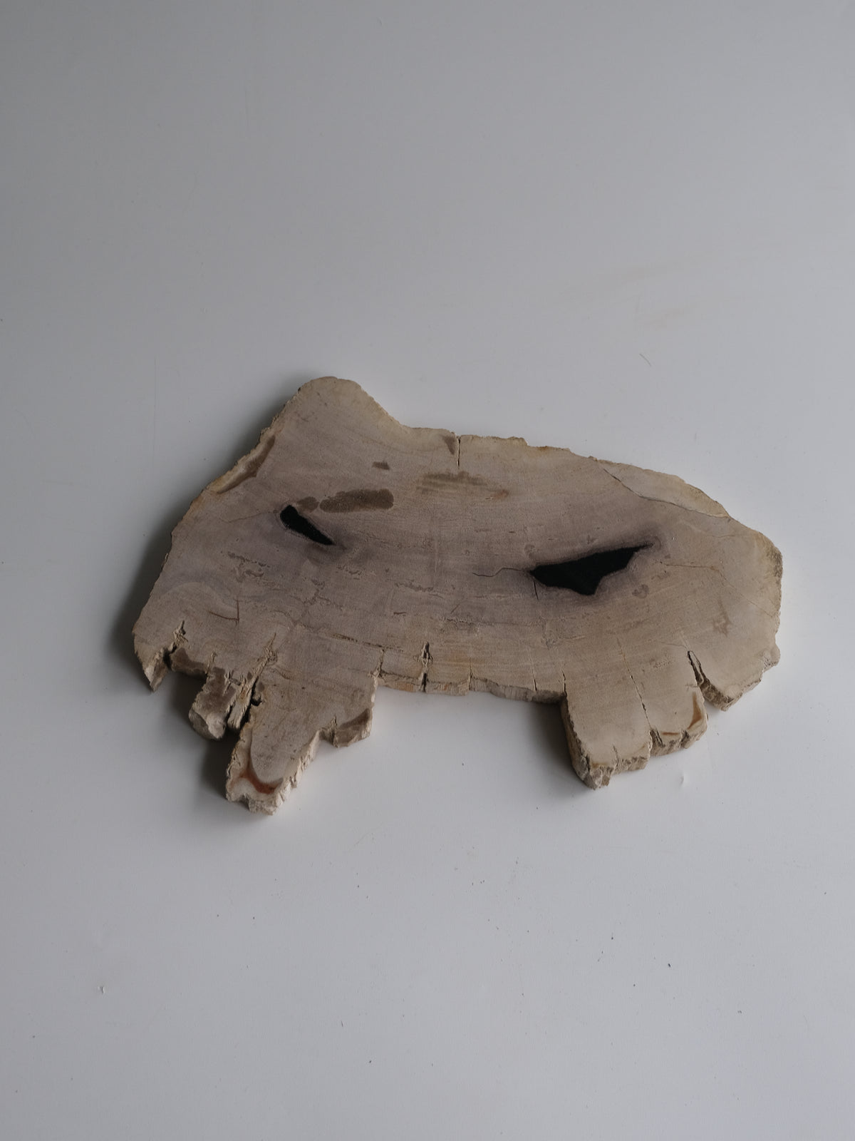 Wood Plate #001