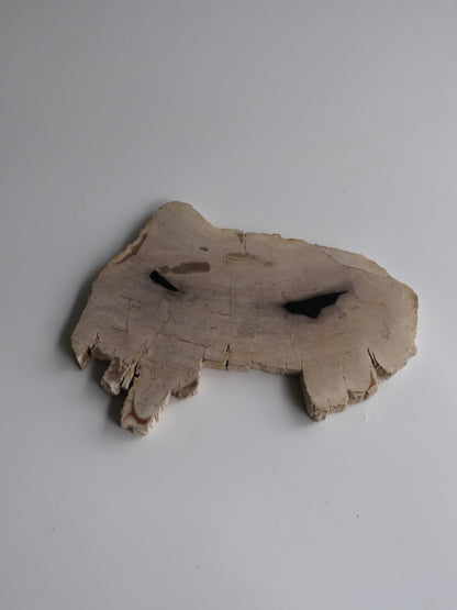 Wood Plate #001