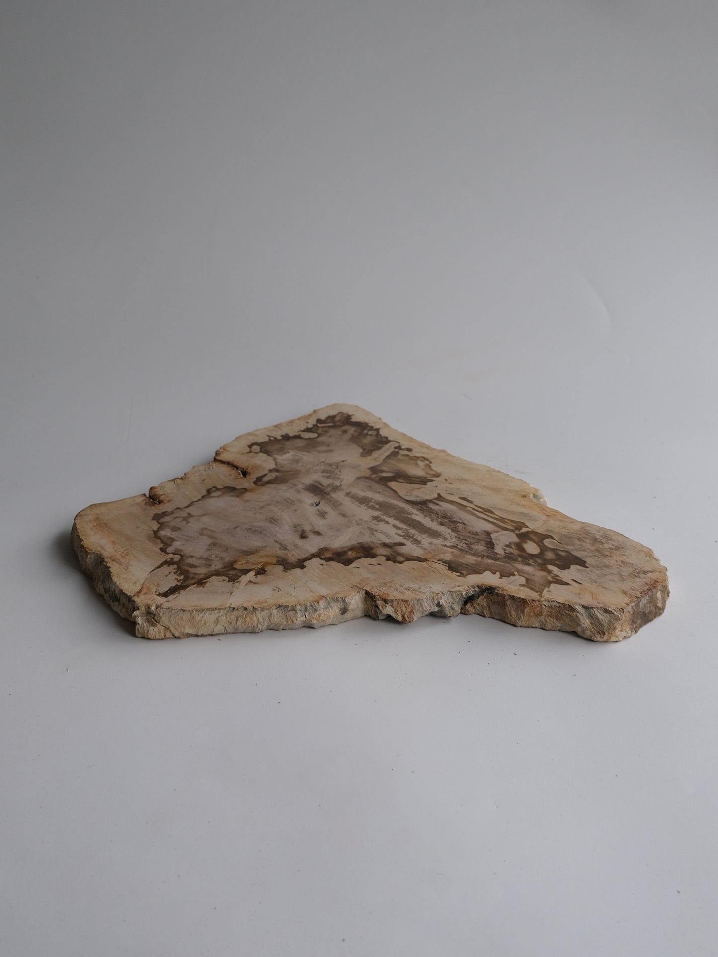 Wood Plate #012