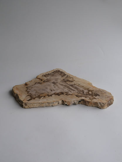 Wood Plate #012