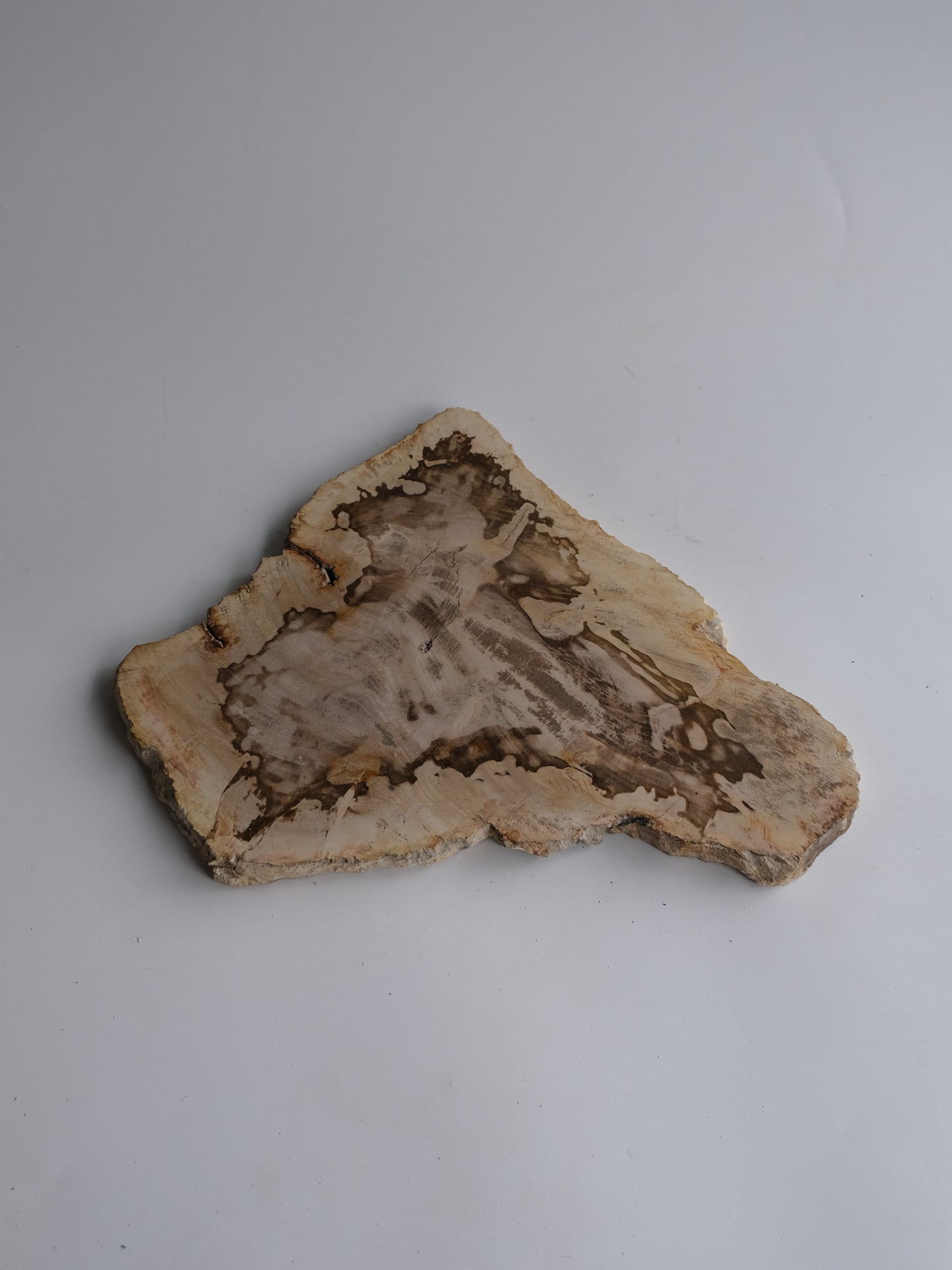 Wood Plate #012