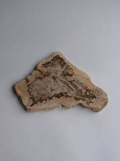 Wood Plate #012