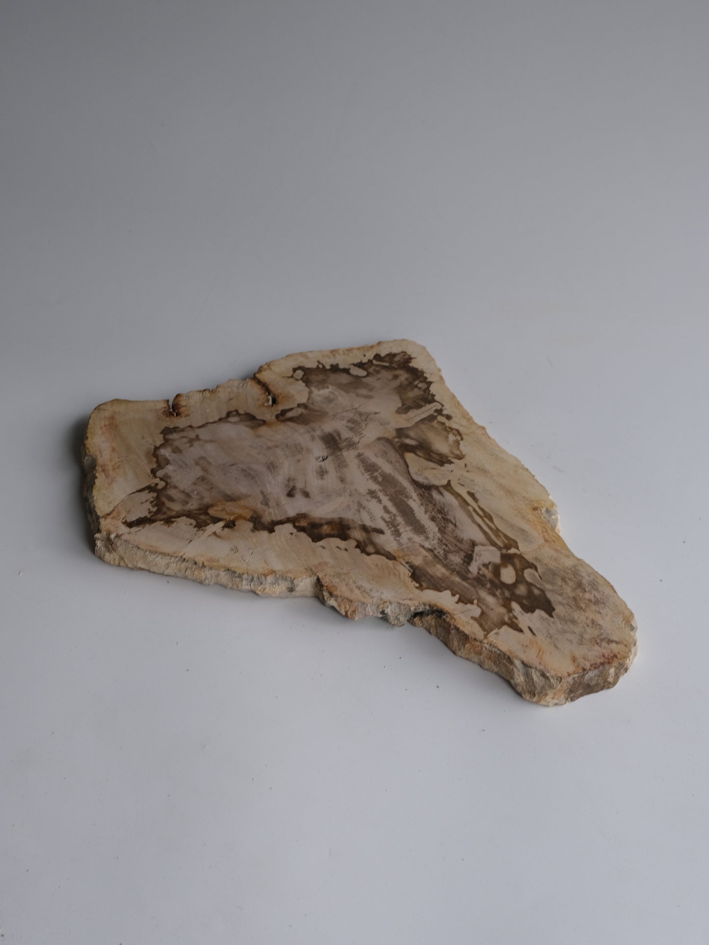 Wood Plate #012