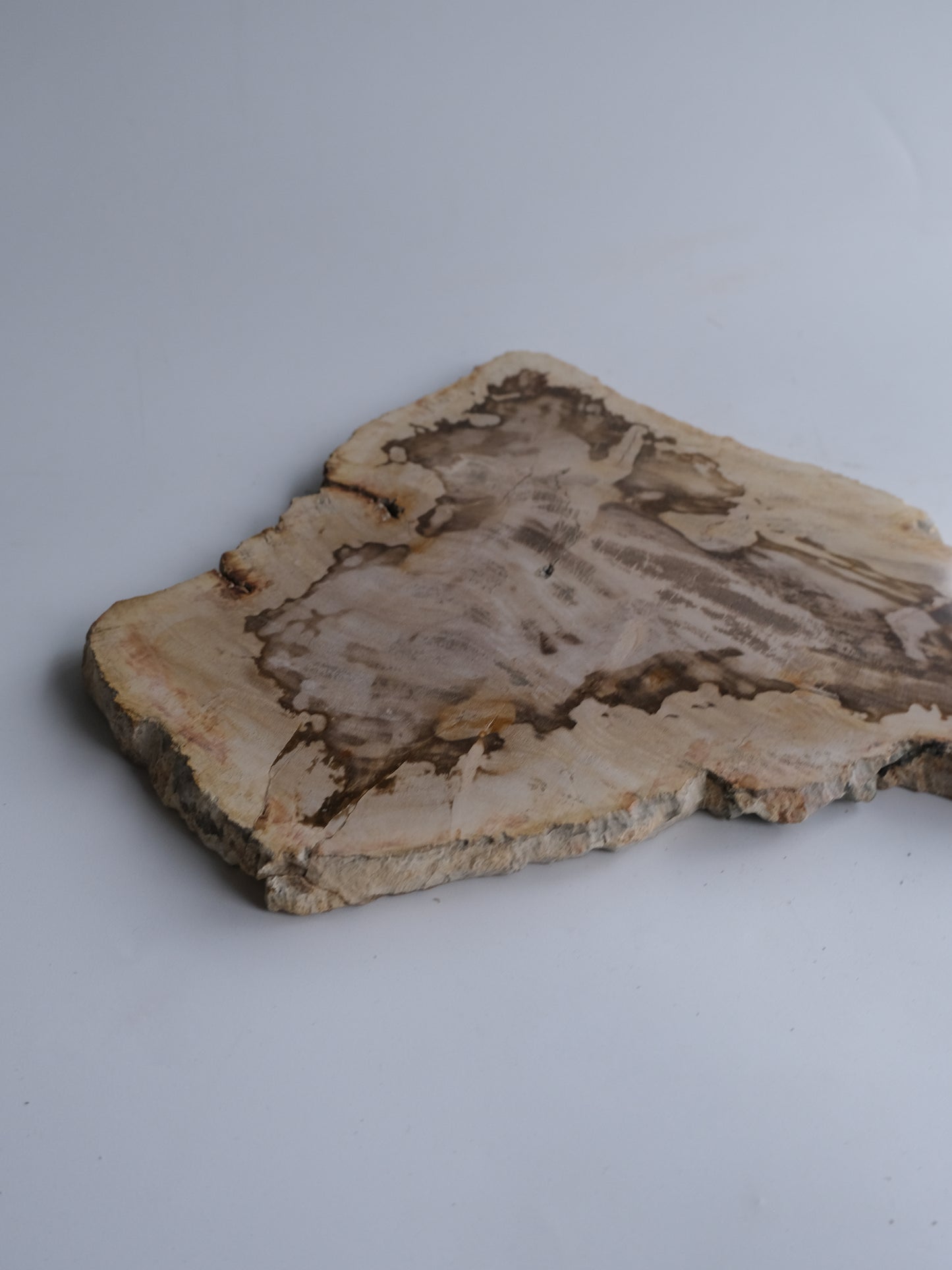 Wood Plate #012