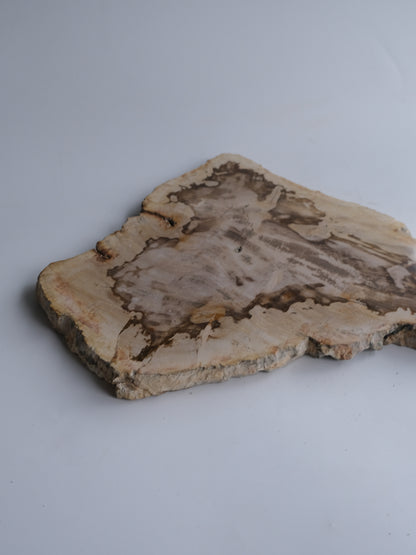 Wood Plate #012