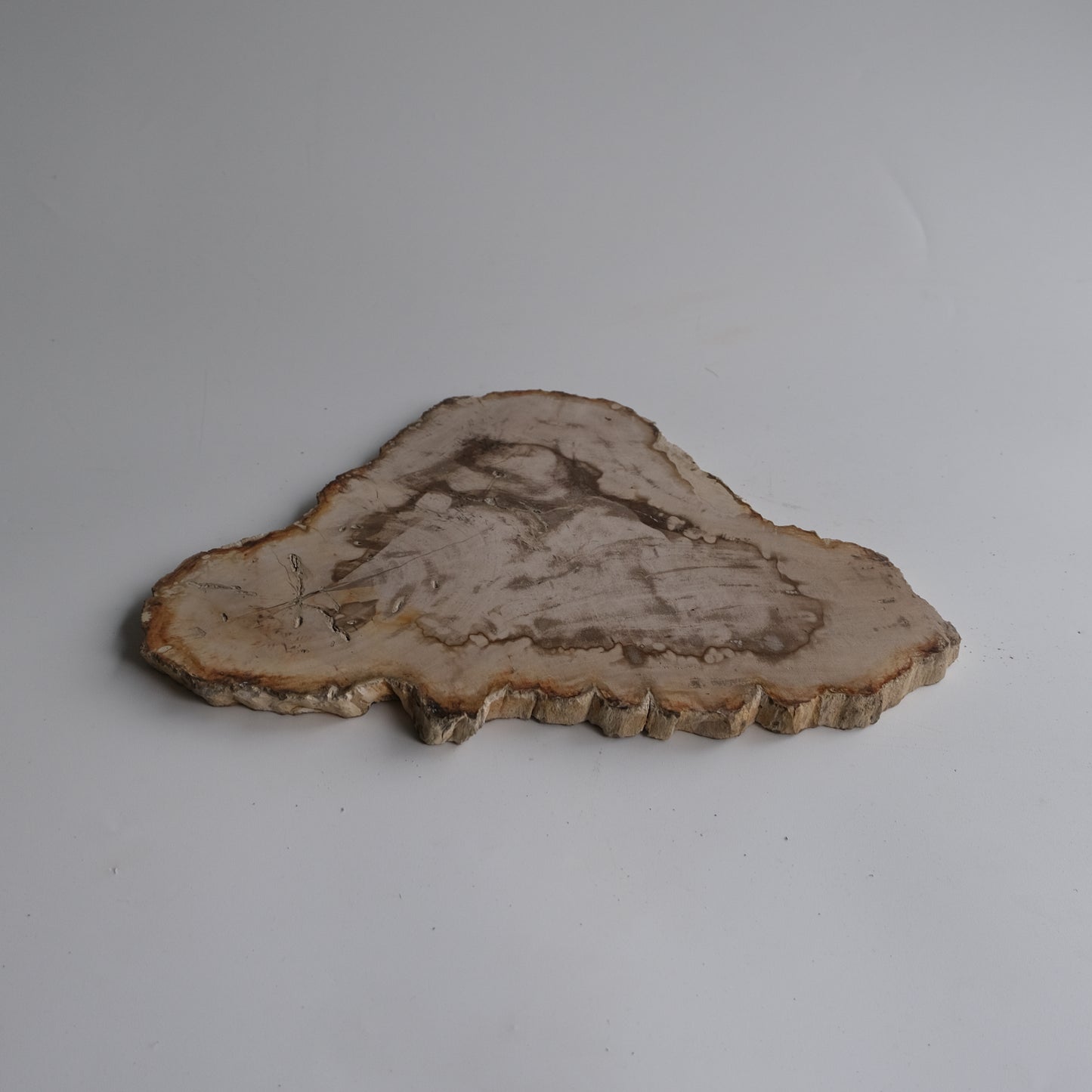 Wood Plate #013
