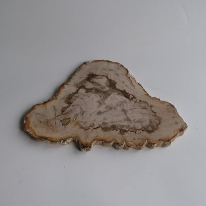 Wood Plate #013
