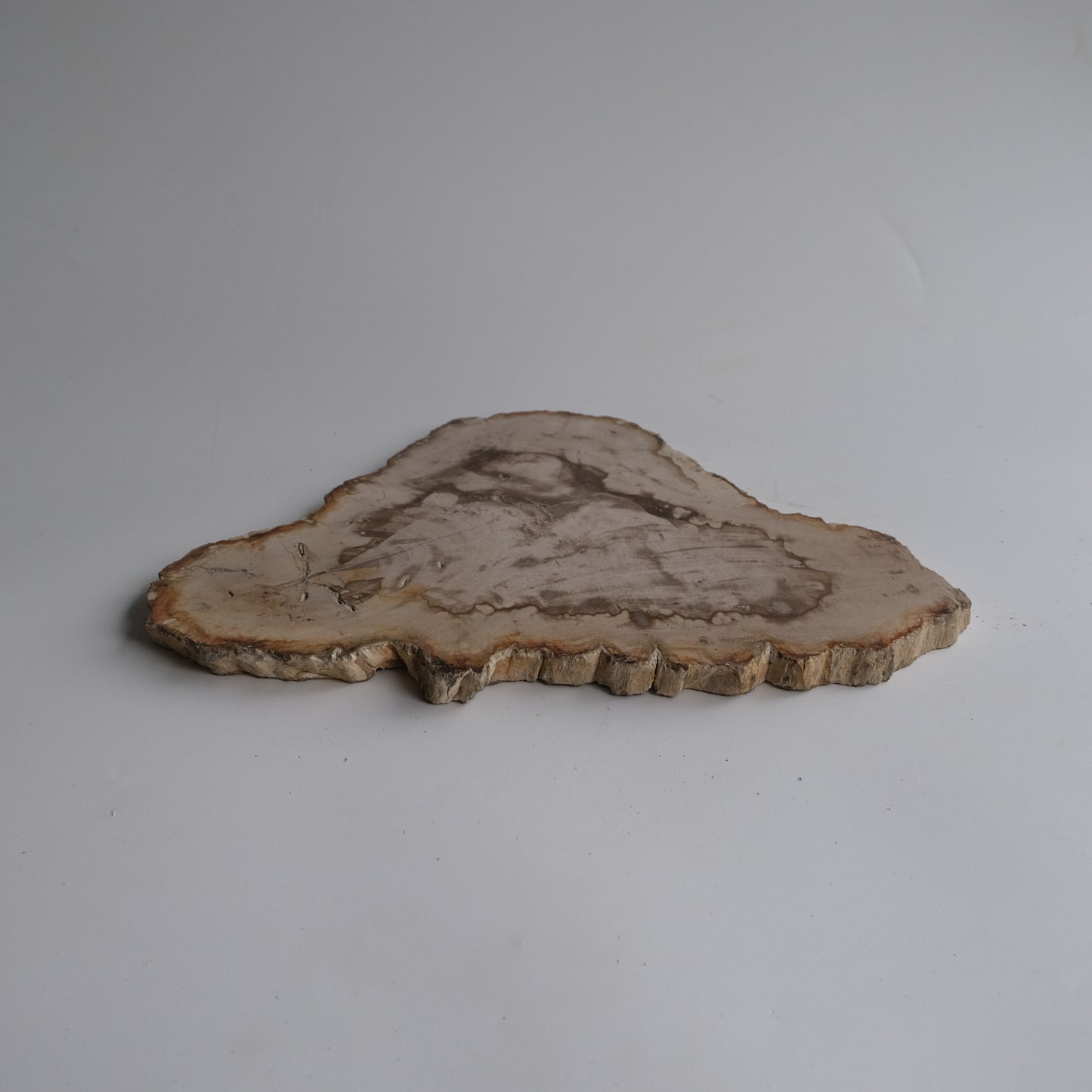 Wood Plate #013