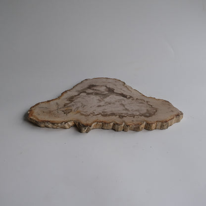 Wood Plate #013
