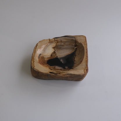 Accessory Tray #014